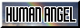 humanangel button